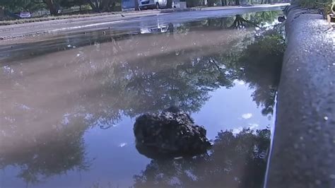 13 Investigates Houston’s battle against water leaks 